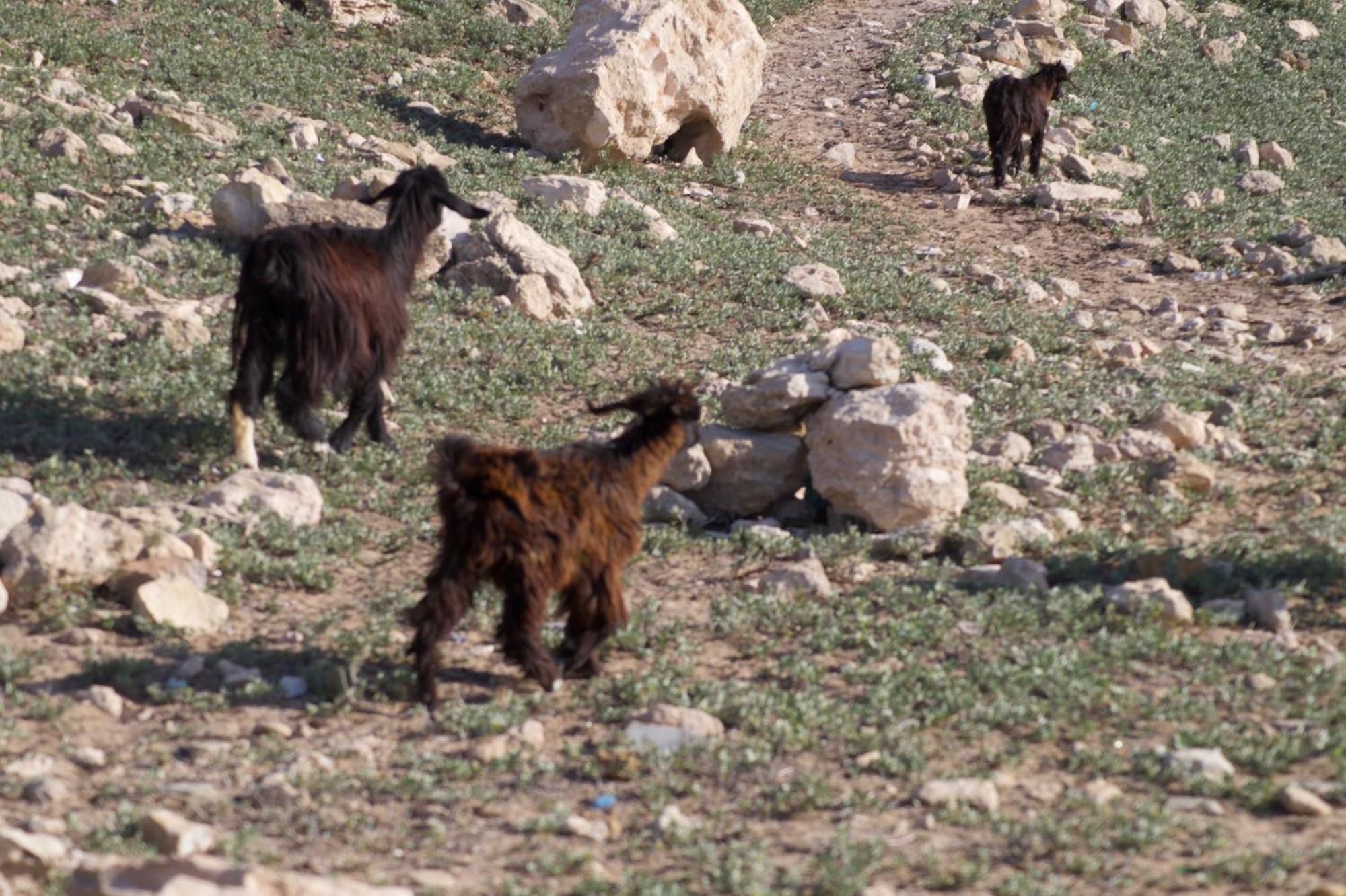 Sidi Kaouki Perla Exterior foto