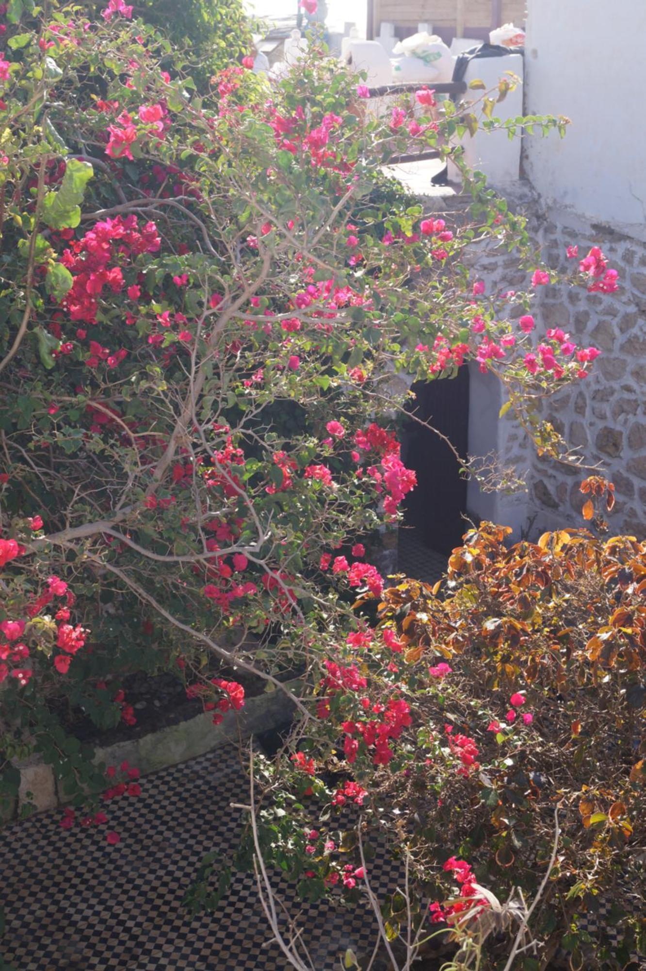 Sidi Kaouki Perla Exterior foto