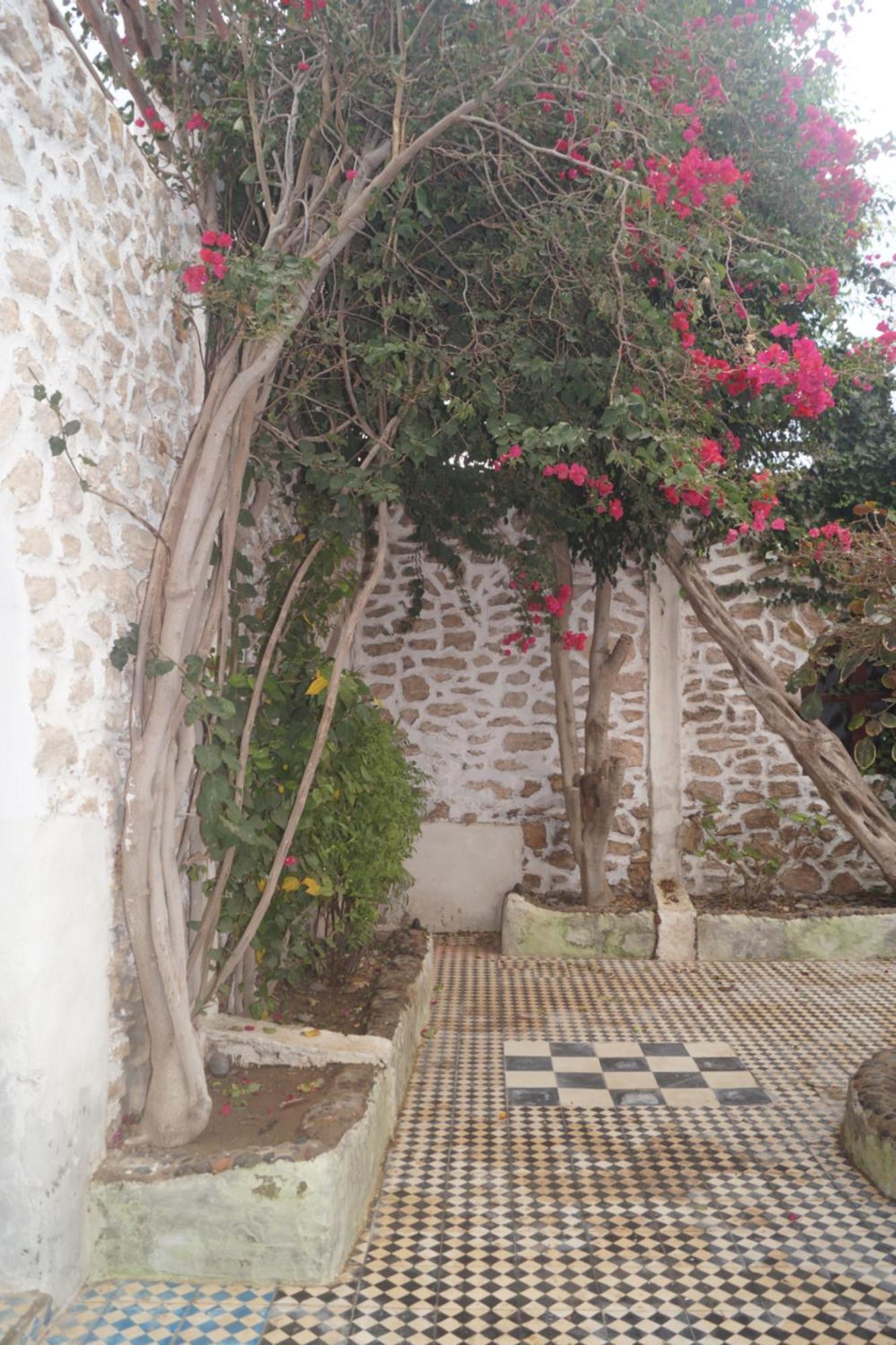Sidi Kaouki Perla Exterior foto