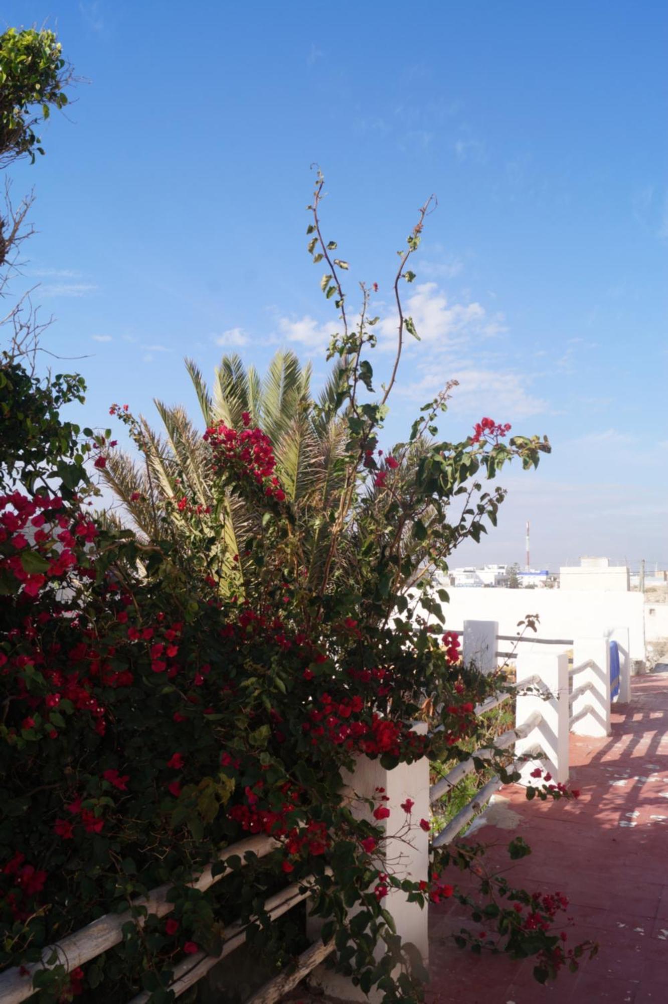 Sidi Kaouki Perla Exterior foto
