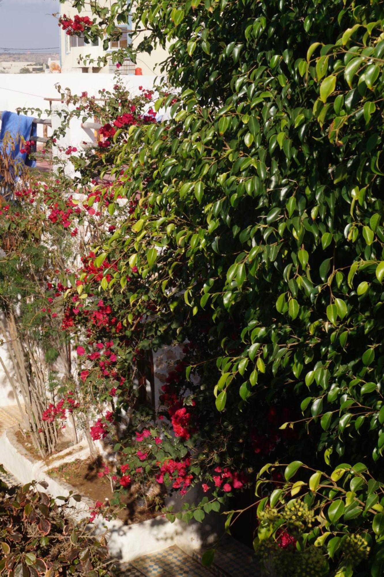Sidi Kaouki Perla Exterior foto